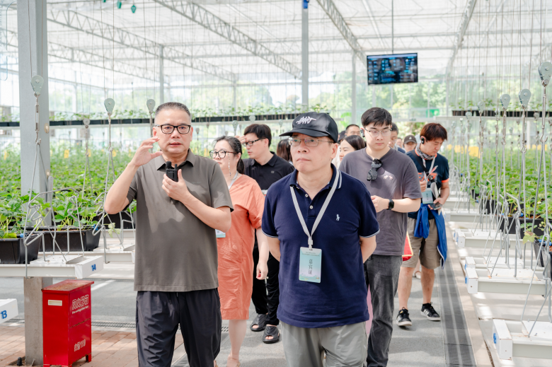 太美了！2025世界溫州人文藝家赴楠溪江創作采風紀實