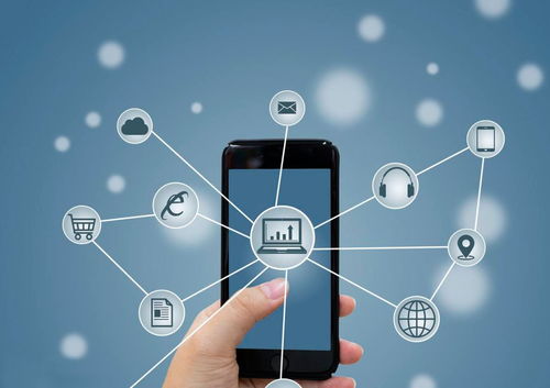 廢舊物資搭上互聯(lián)網(wǎng)快車，搖變“香餑餑”